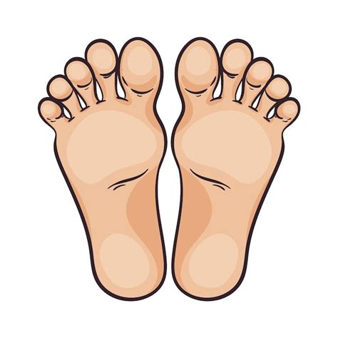 cartoon feet|94,200+ Cartoon Feet Stock Photos, Pictures & Royalty .